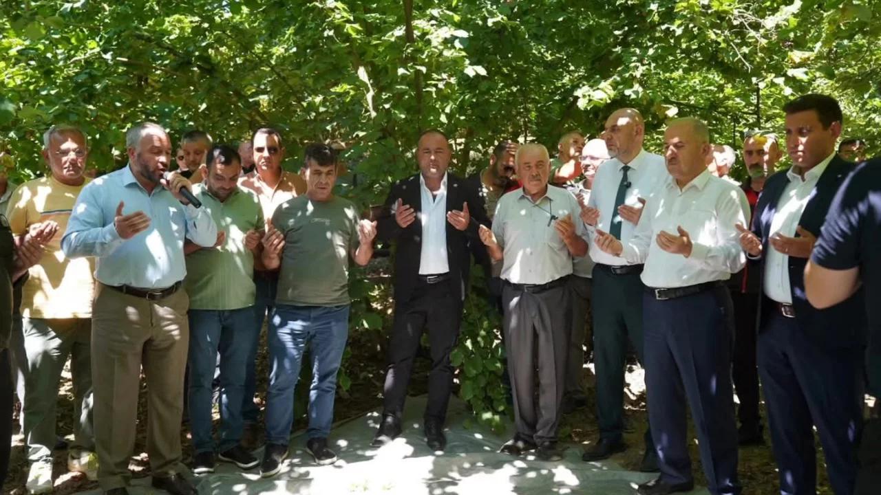 Bursa'nın fındık merkezi Bayırk&ouml;y'de hasat başladı