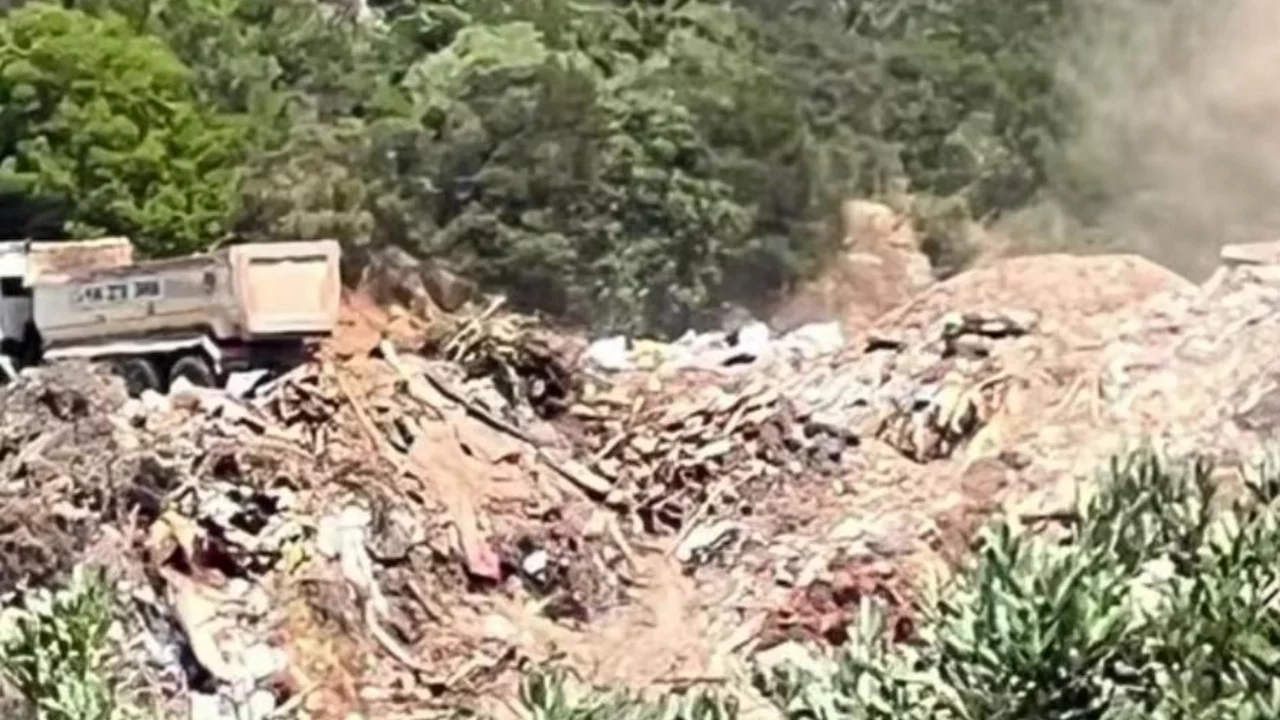 Bursa'daki bu doğa katliamına kim dur diyecek?