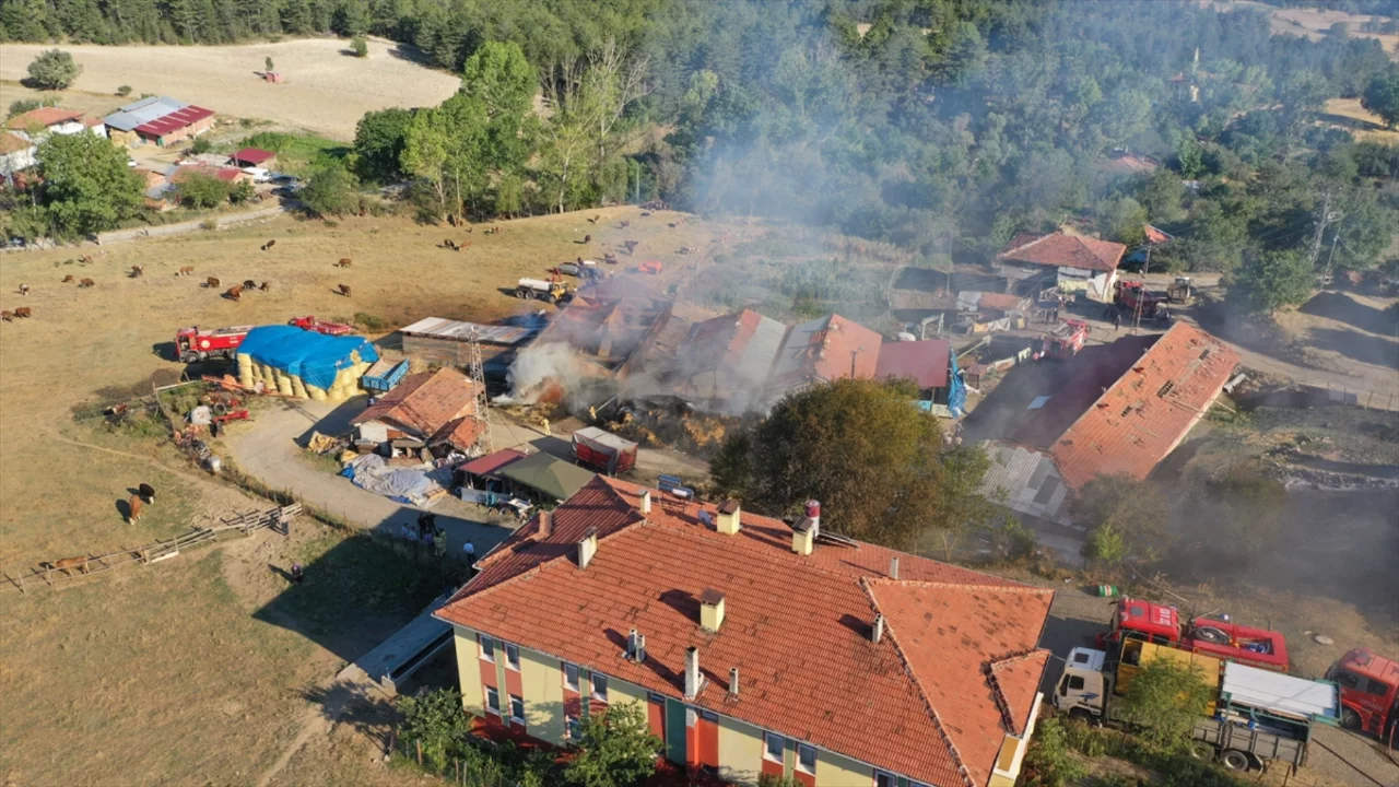 Kastamonu'da ahır yangını: 14 b&uuml;y&uuml;kbaş hayvan telef oldu