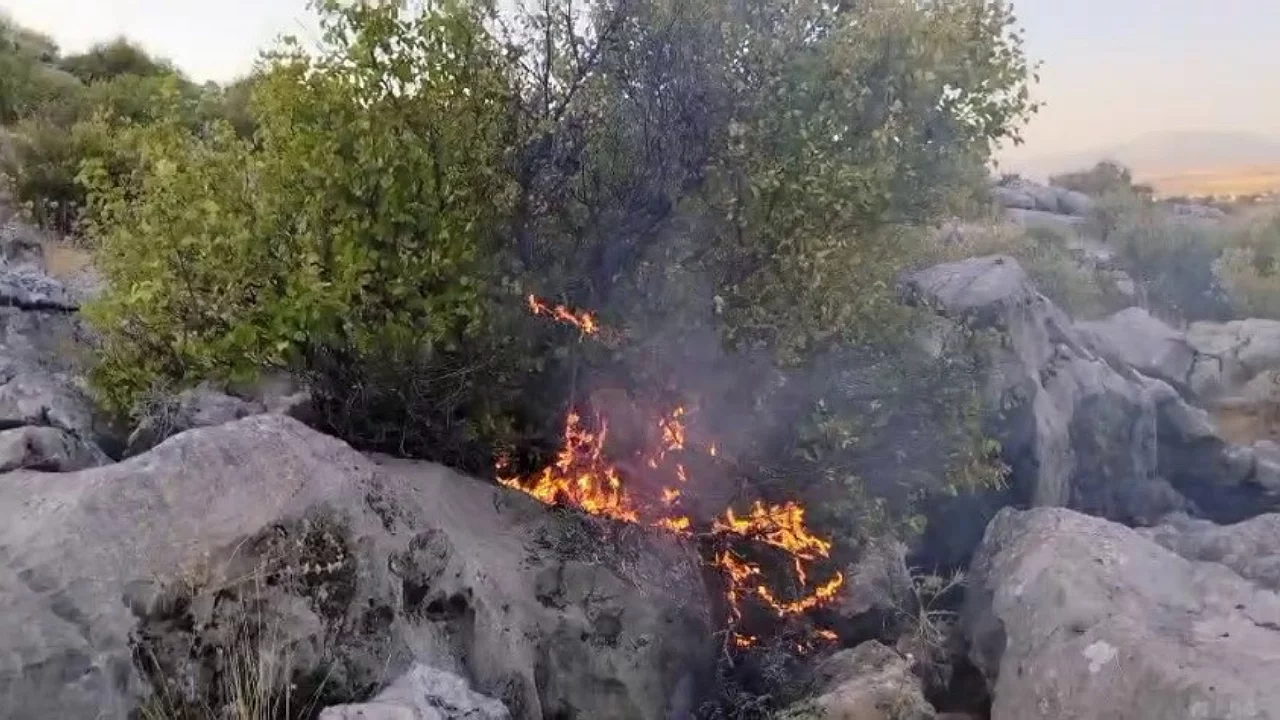 Ormanlık alanda &ccedil;ıkan yangın korkuttu