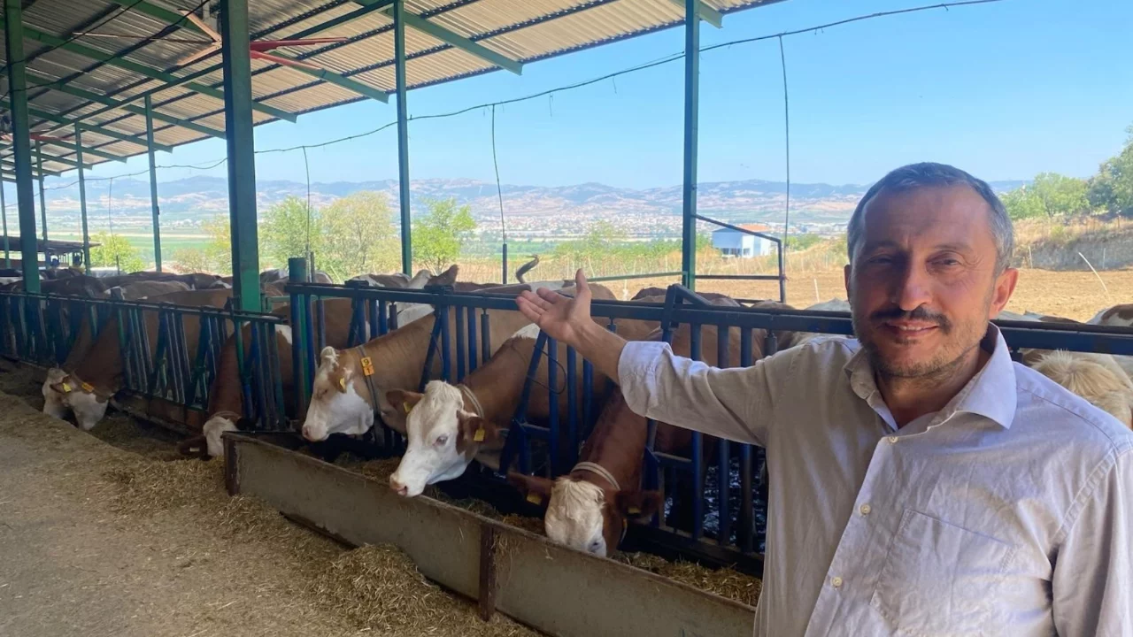 Bursa'da s&uuml;t &uuml;retiminde yeni d&ouml;nem! İnekler yapay zeka ve &ccedil;iplerle 7/24 takip ediliyor
