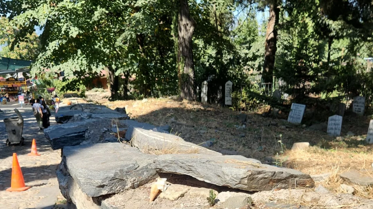 Bursa'nın 700 yıllık köyünde muhtardan mezarlık için talep