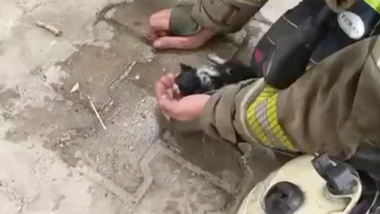 Alevlerin arasından çıkarıldı! Bursa'da yürekleri ısıtan anlar