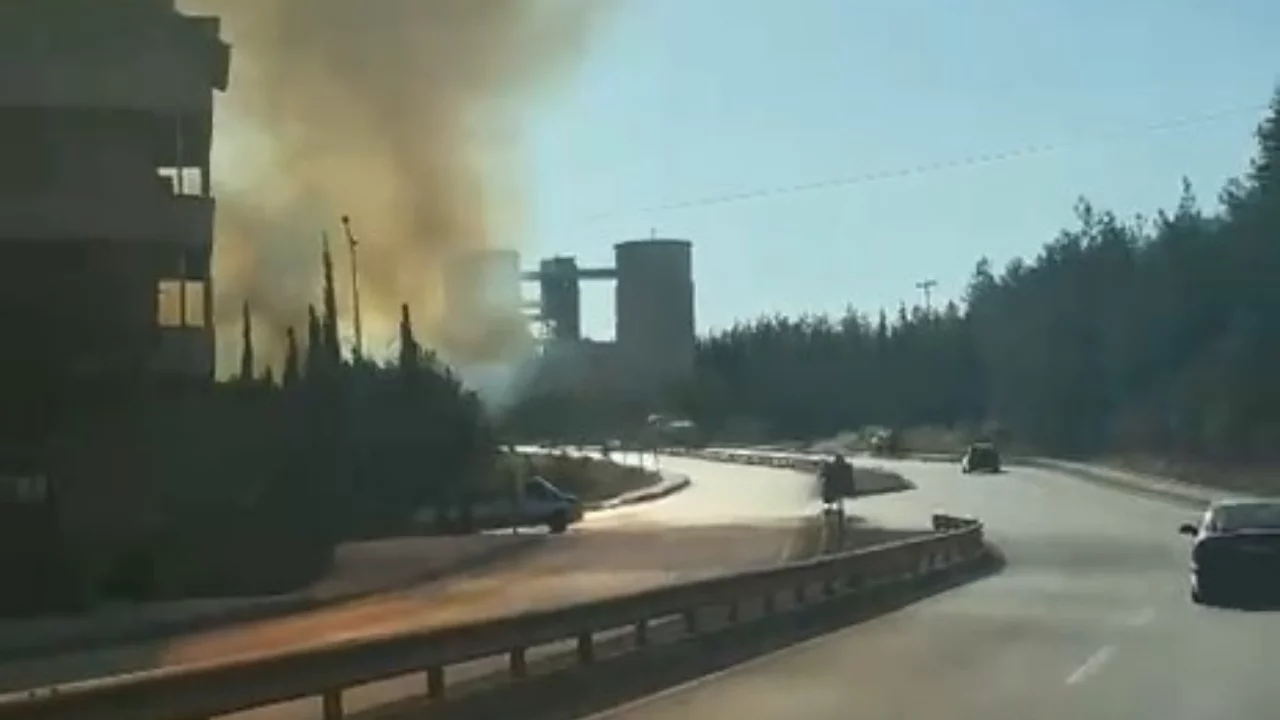 Bursa'da peş peşe orman yangınları! Alevler Uludağ'ın eteklerine sı&ccedil;radı