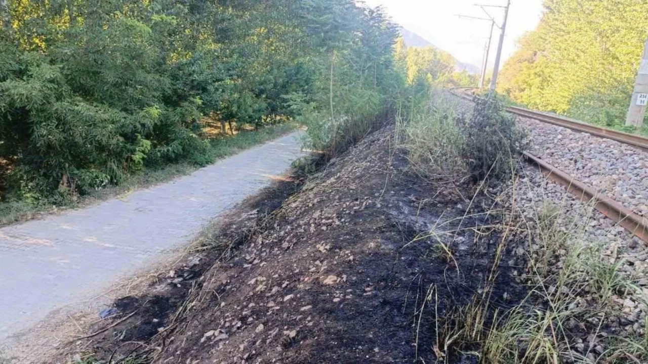 Bilecik'te YHT Hattı Kenarında Yangın