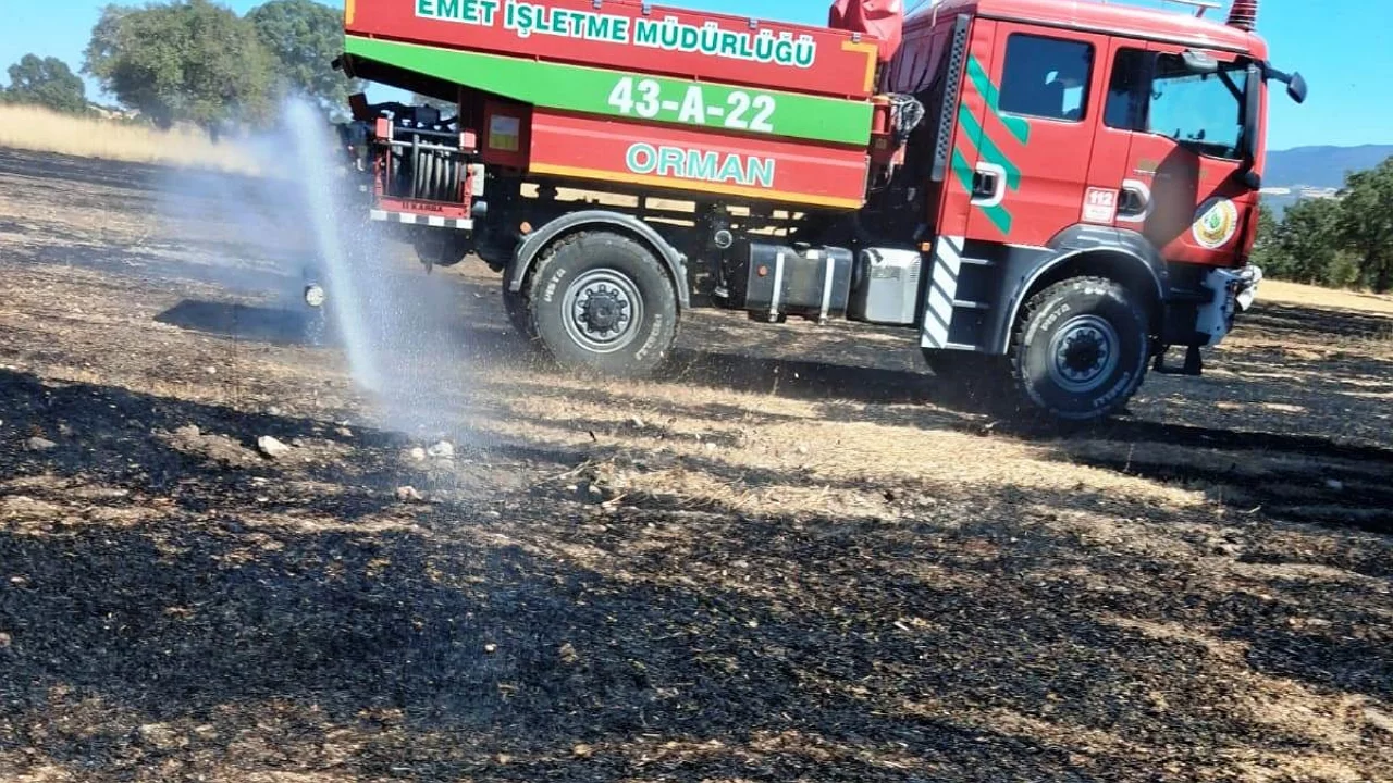 Anız yangını 5 dekarlık alana zarar verdi