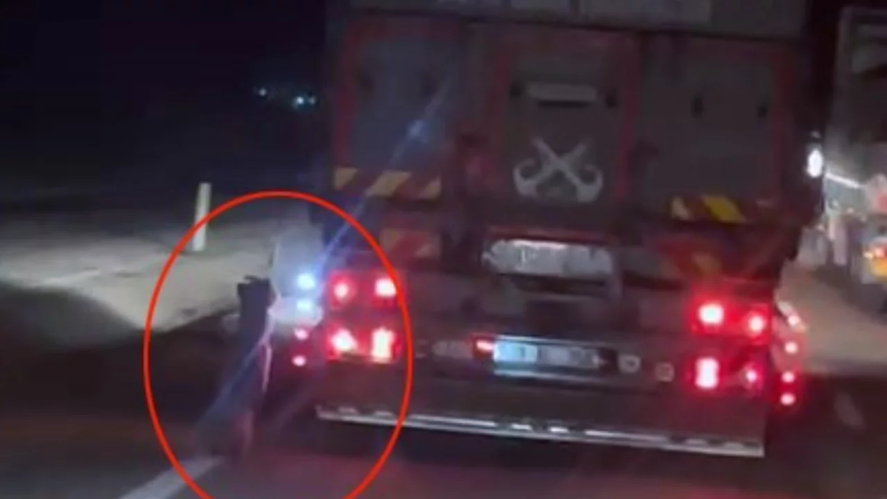 Denizli'de vicdanları yaralayan g&ouml;r&uuml;nt&uuml;! Kamyonete bağlayıp kilometrelerce s&uuml;r&uuml;kledi