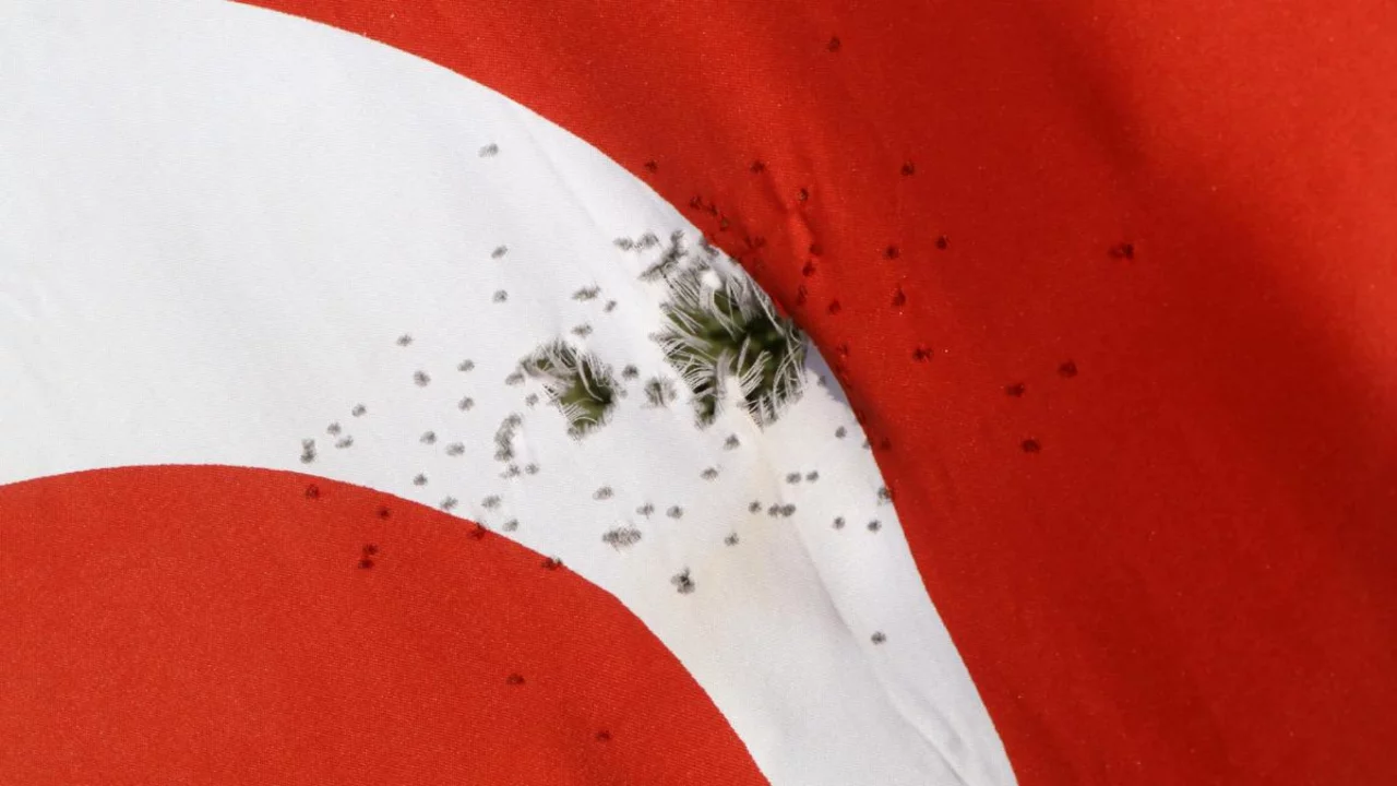 T&uuml;rk bayrağına &ccedil;irkin saldırı! Av t&uuml;feği ile ateş edildi