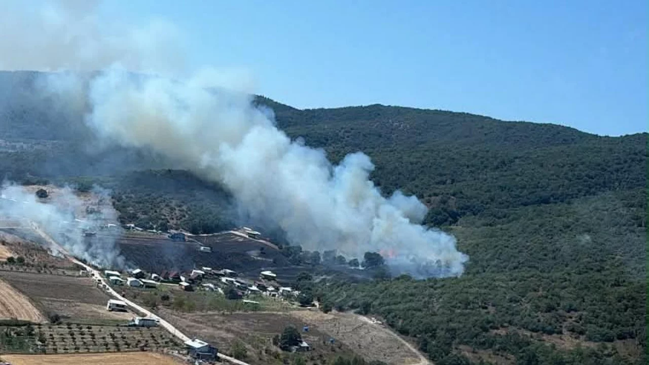 Yenişehir'de ormanlık alana sı&ccedil;rayan yangın kontrol altına alındı!