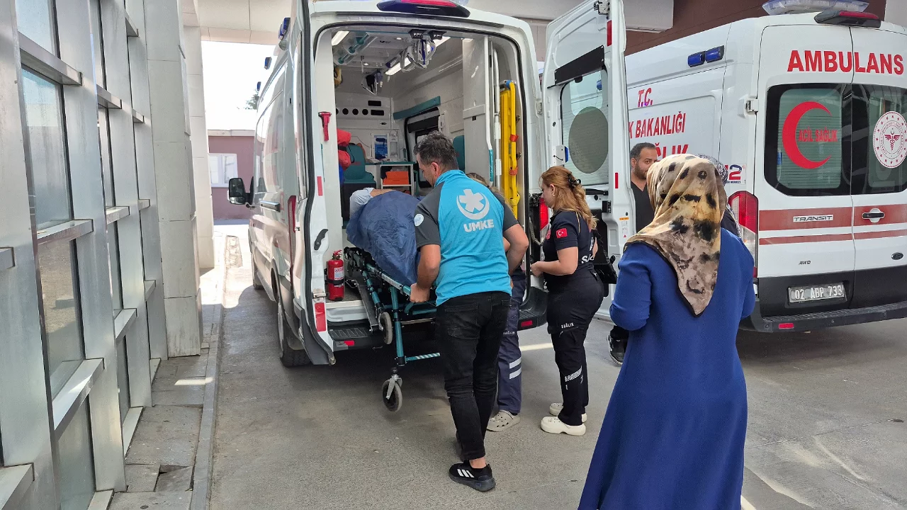 İncir toplarken ağa&ccedil;tan d&uuml;şen kişi yaralandı