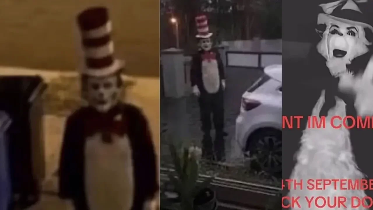 Sokaklardaki 'şapkalı kedi' korku sa&ccedil;tı! Emniyetten a&ccedil;ıklama geldi