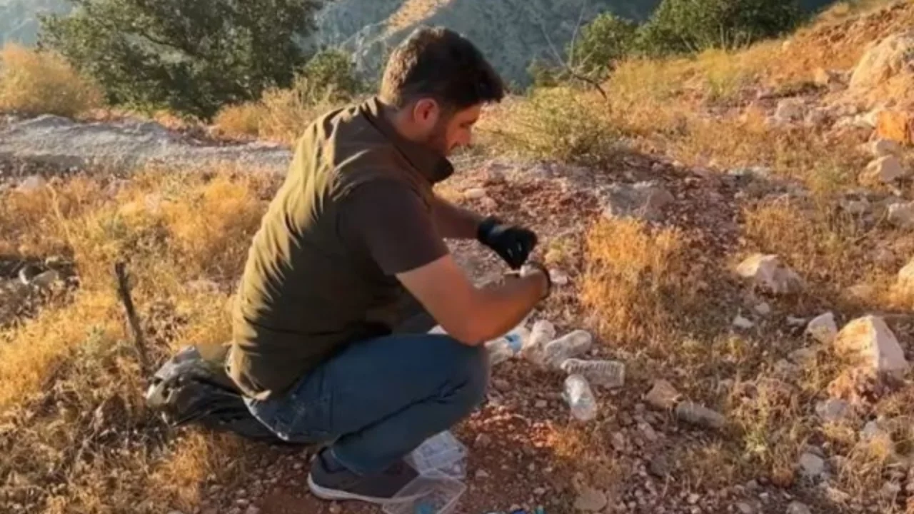 &Ccedil;inliler T&uuml;rkiye'deki &ccedil;ekirgelerin peşinde!