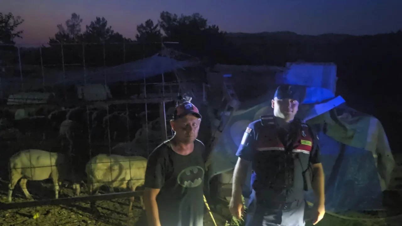 Bursa'da kaybolan 50 k&uuml;&ccedil;&uuml;kbaş hayvan i&ccedil;in seferberlik! Jandarma dronla buldu