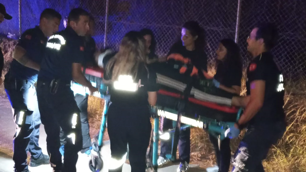 Aydın'da ticari ara&ccedil; devrildi: Sıkışan s&uuml;r&uuml;c&uuml; ekiplerce kurtarıldı