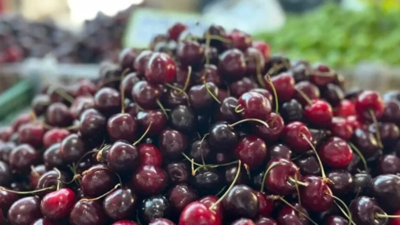 Türkiye'nin yaş meyve ihracatından 7 aylık rekor 
