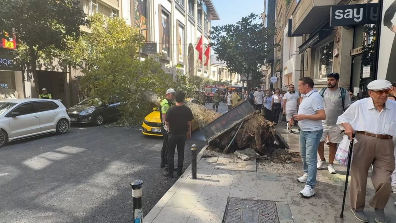 Ağaç devrildi, yol trafiğe kapandı
