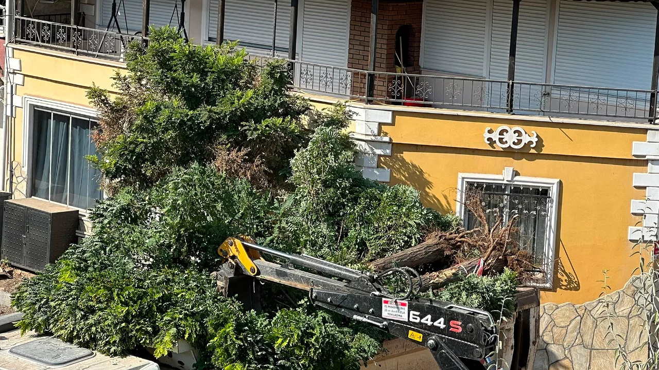 Yol yapım &ccedil;alışmaları sırasında ağa&ccedil;lar s&ouml;k&uuml;ld&uuml;