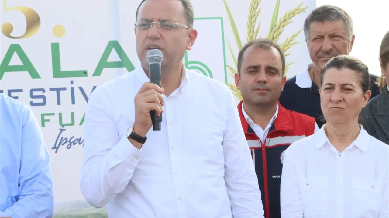 Edirne'de &ccedil;eltik hasadı başladı: Rekor verim beklentisi