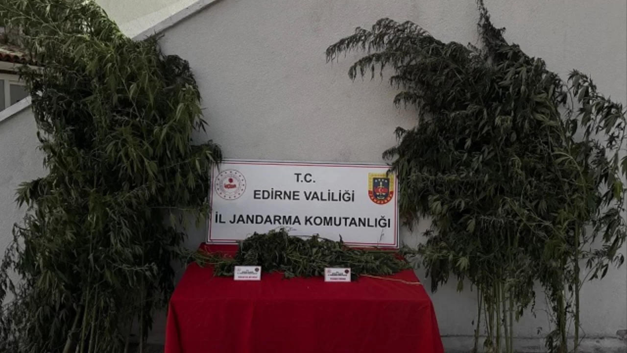 Uzunköprü'de kamu arazisinde kenevir sularken yakalandı