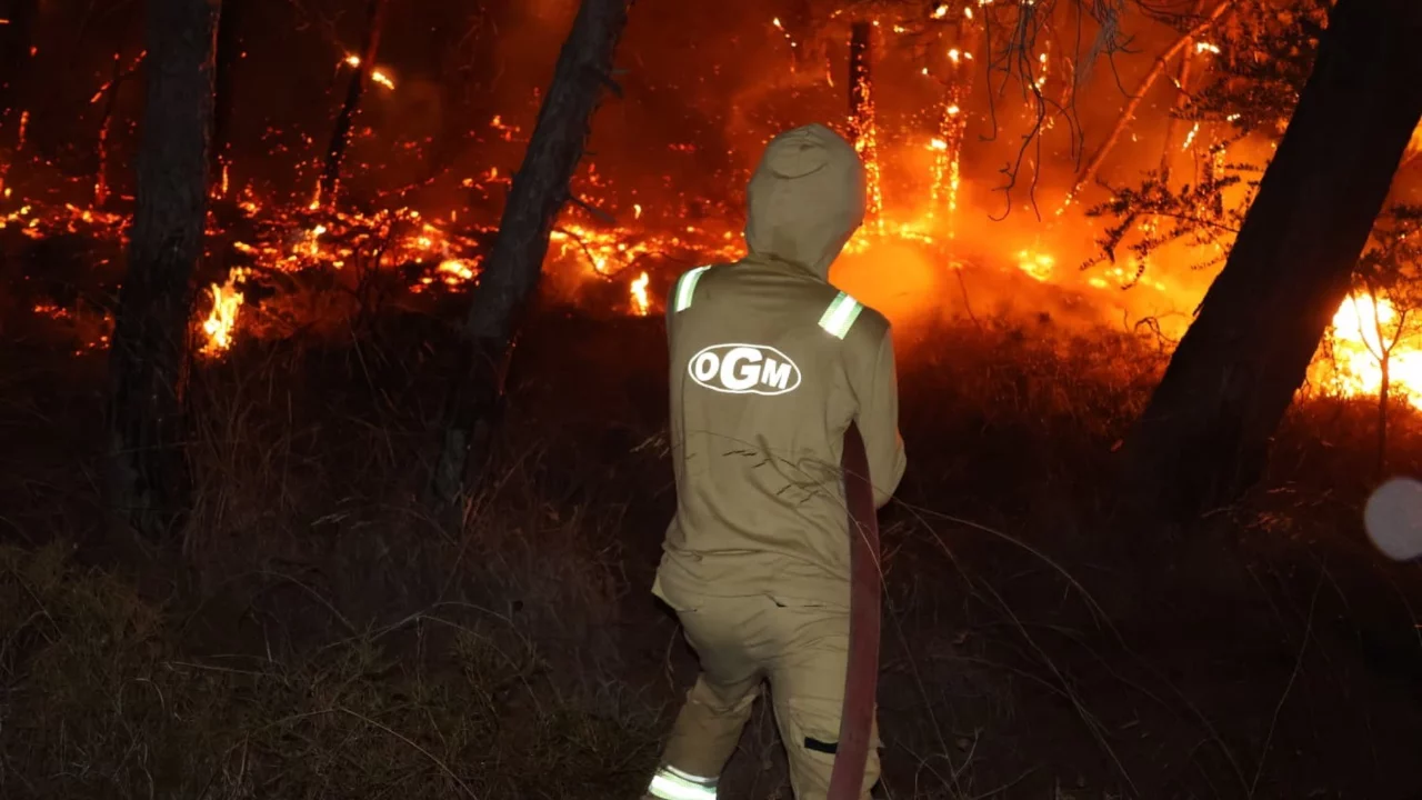 Fethiye'de orman yangını paniği! Alevler 4 saat sonra kontrol altına alındı