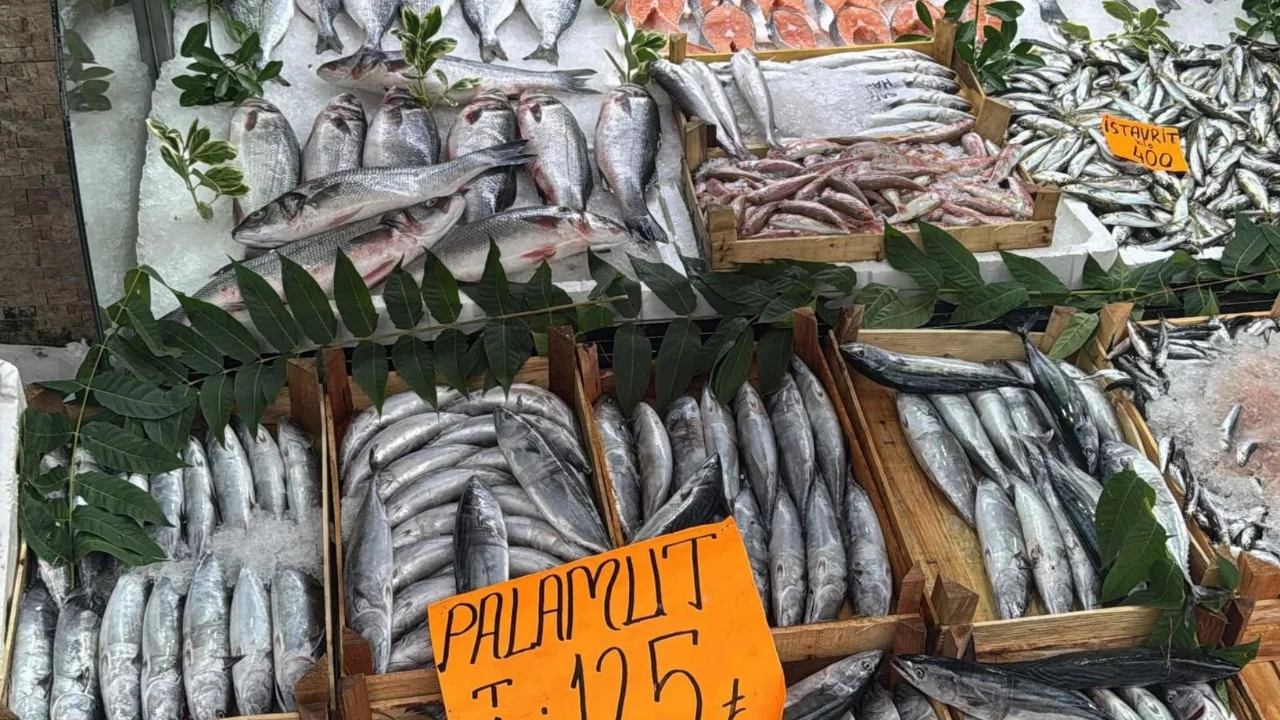 Tezgahta Palamut bolluğu