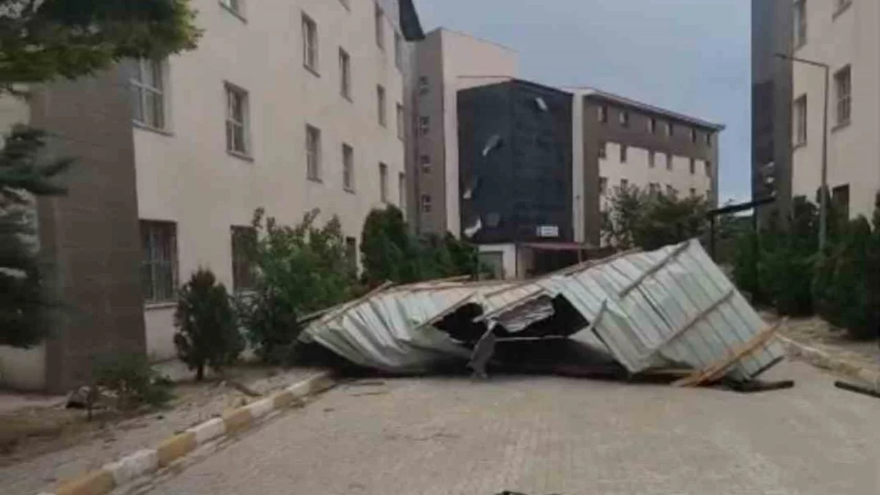 Van'da şiddetli fırtına: çatılar uçtu, ağaçlar devrildi