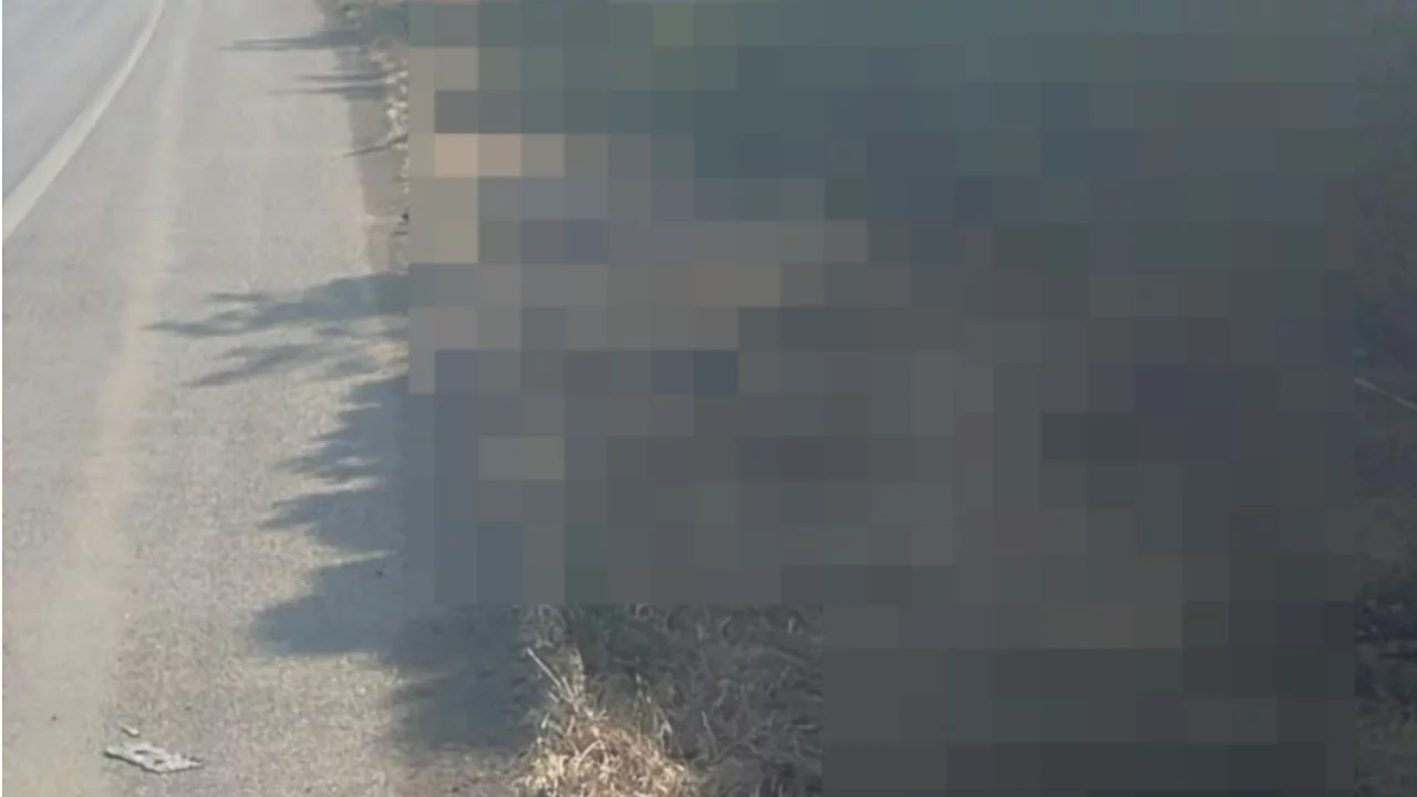 Bursa'da dehşete d&uuml;ş&uuml;ren manzara! Yol kenarında &ouml;l&uuml; bulundular...