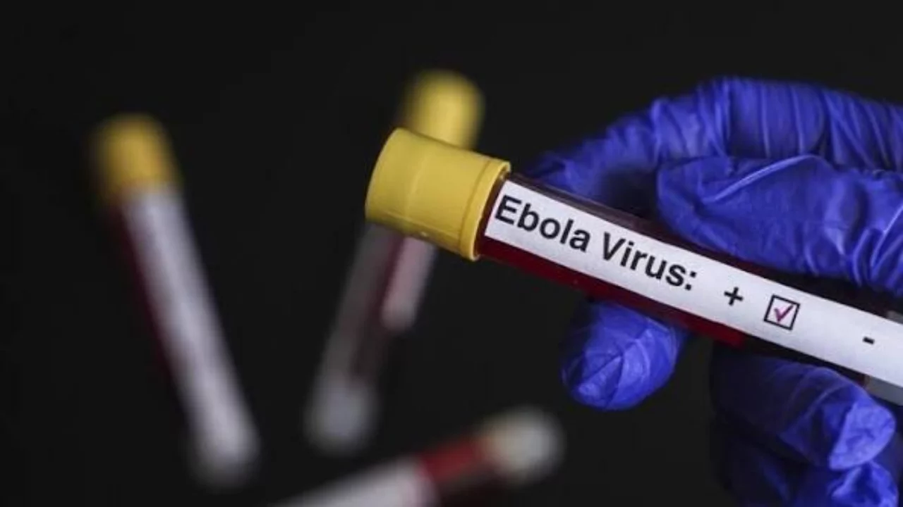 Kongo Demokratik Cumhuriyeti'nde Ebola alarmı: Vaka sayısı 6 bini aştı