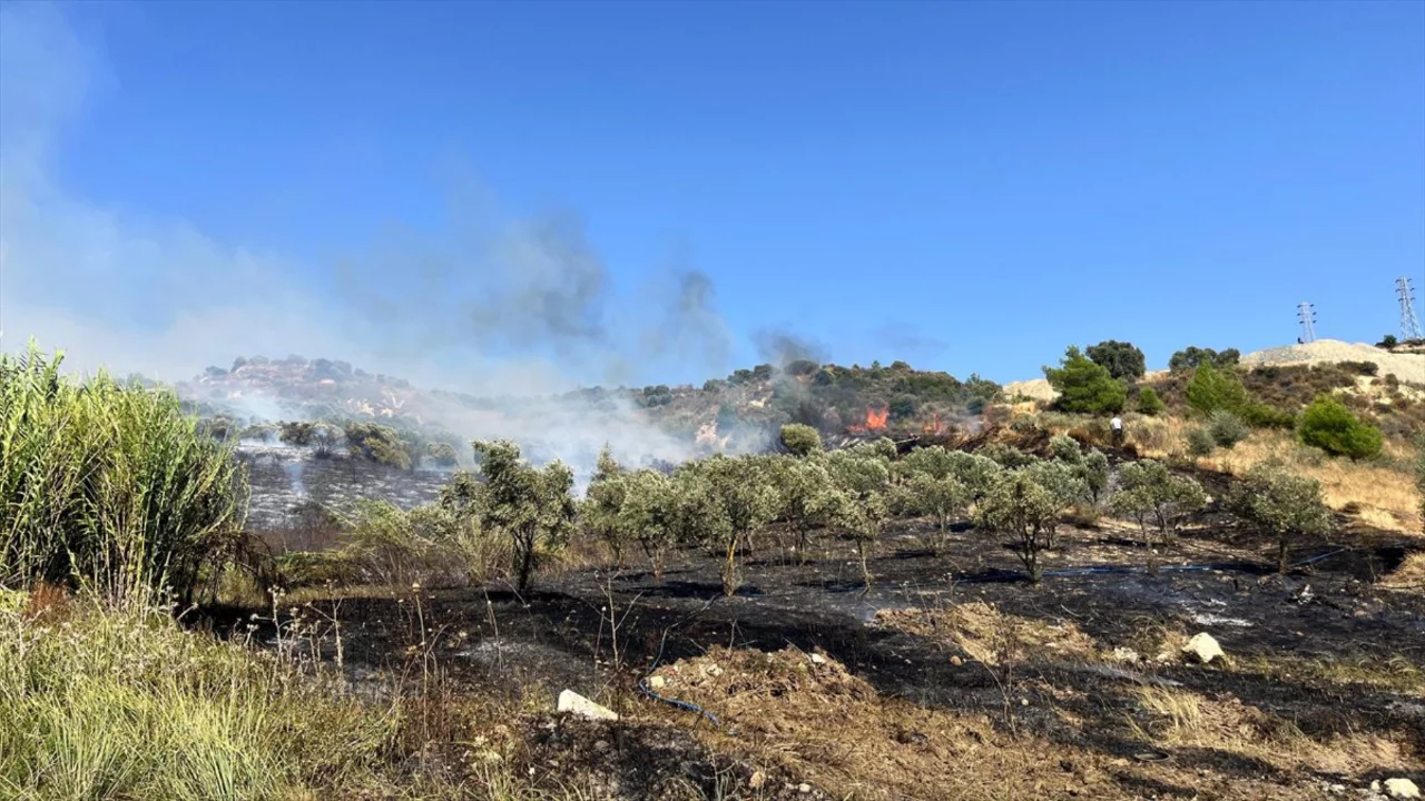 Hatay'da zeytinlik alanda çıkan yangın söndürüldü