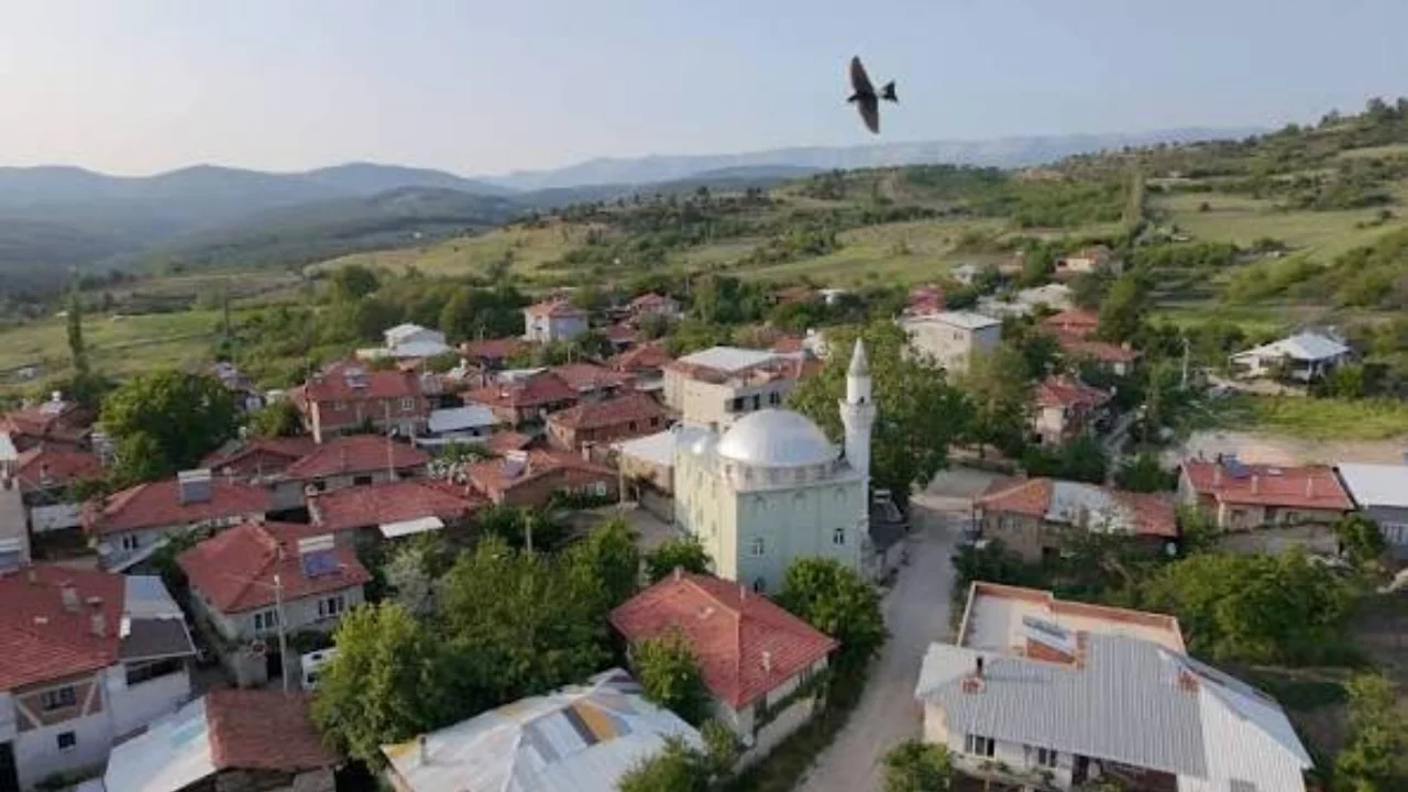Üç kardeş, üç köy, bir harman! Bursa'daki Harmanalan'ın kuruluş hikayesi...