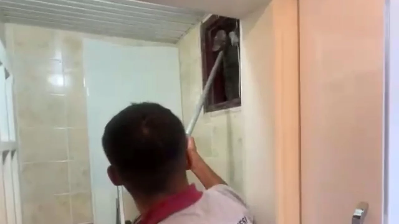 Havalandırma bacasına düşen kedi ekipler tarafından kurtarıldı