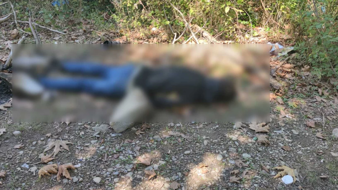 Kastamonu'da dere kenarında dehşet: 28 yaşındaki gen&ccedil; &ouml;l&uuml; bulundu