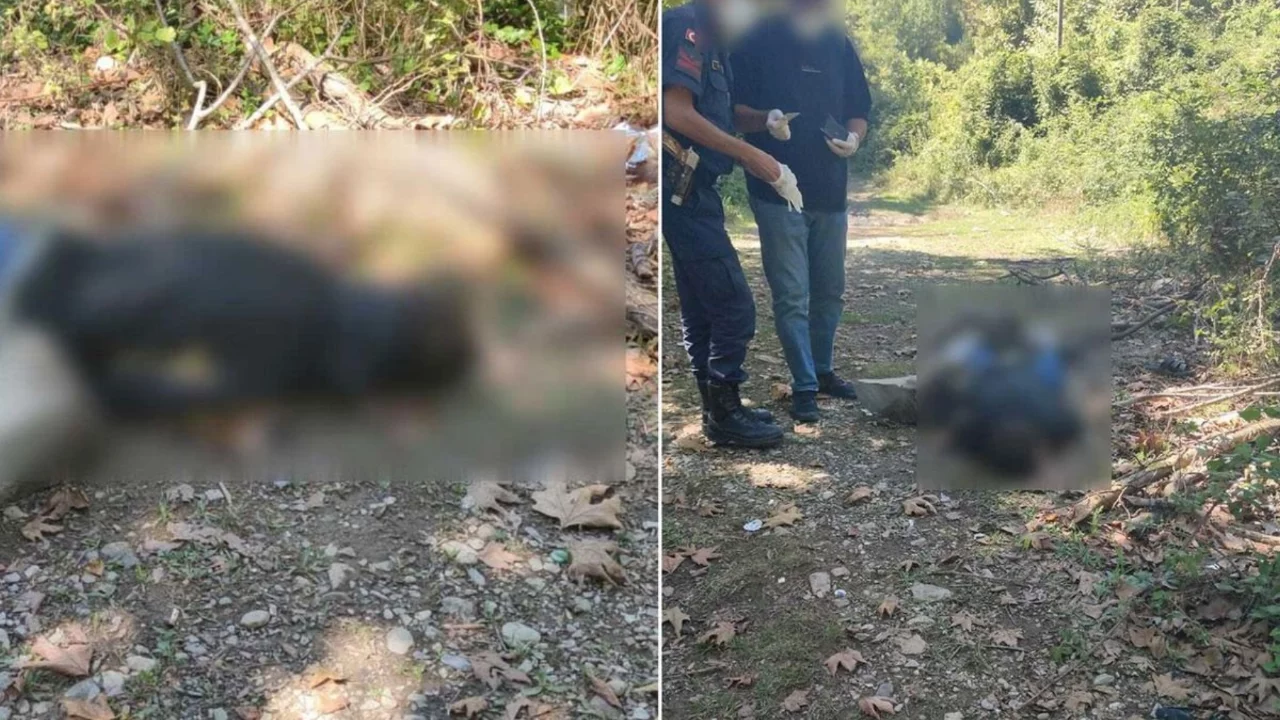 Dereye balık tutmaya inen k&ouml;yl&uuml;ler, erkek cesedi buldu