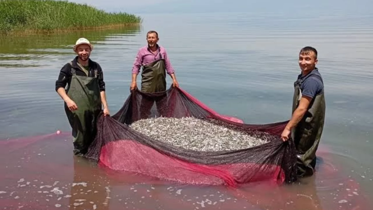 İznik G&ouml;l&uuml; balık&ccedil;ılarından barınak &ccedil;ağrısı! ''Teknelerimizi g&uuml;venle bırakacak yerimiz yok''