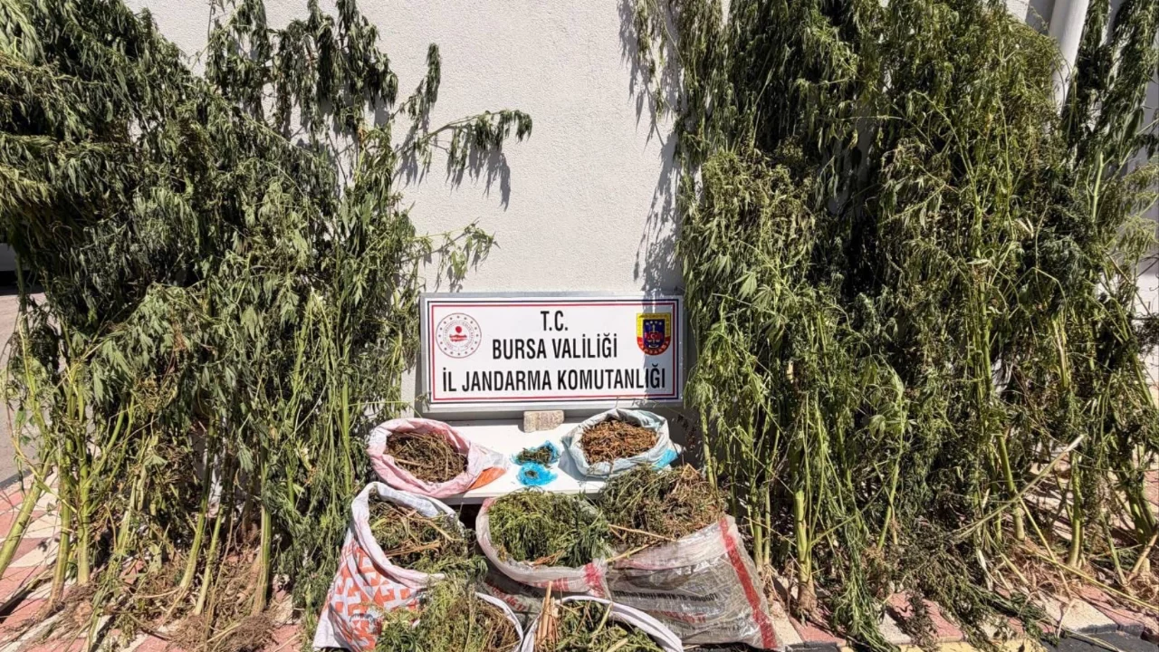 Bursa'da jandarmadan uyuşturucu tacirlerine ge&ccedil;it yok! Kilolarca yakalandı...