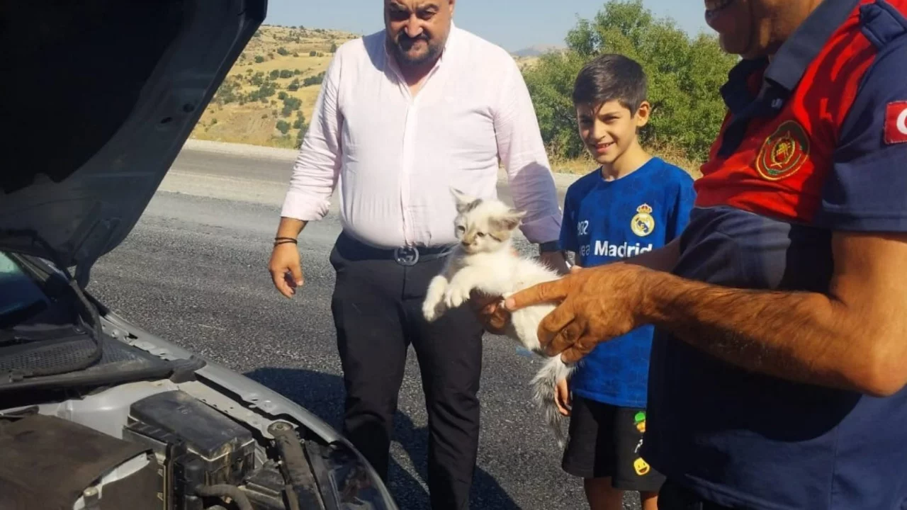 Otomobilin motoruna sıkışan kedi kurtarıldı