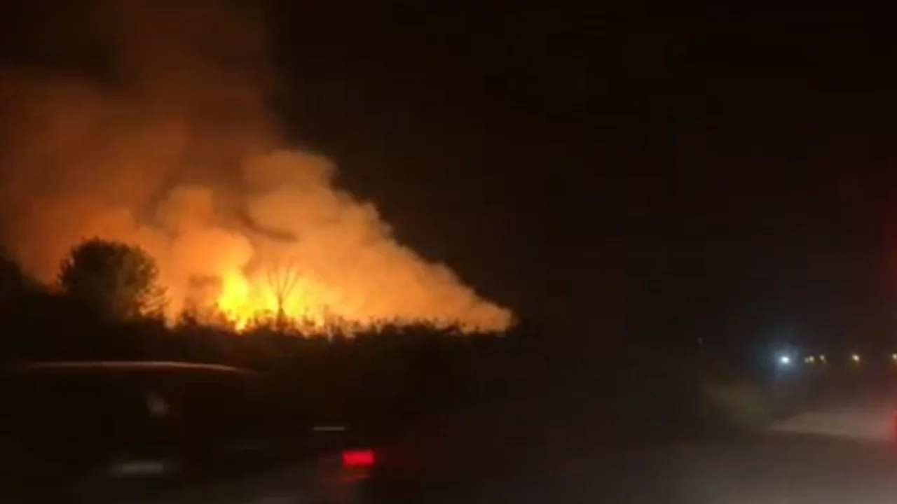 İznik G&ouml;l&uuml; kıyısında gece saatlerinde alevler y&uuml;kseldi!