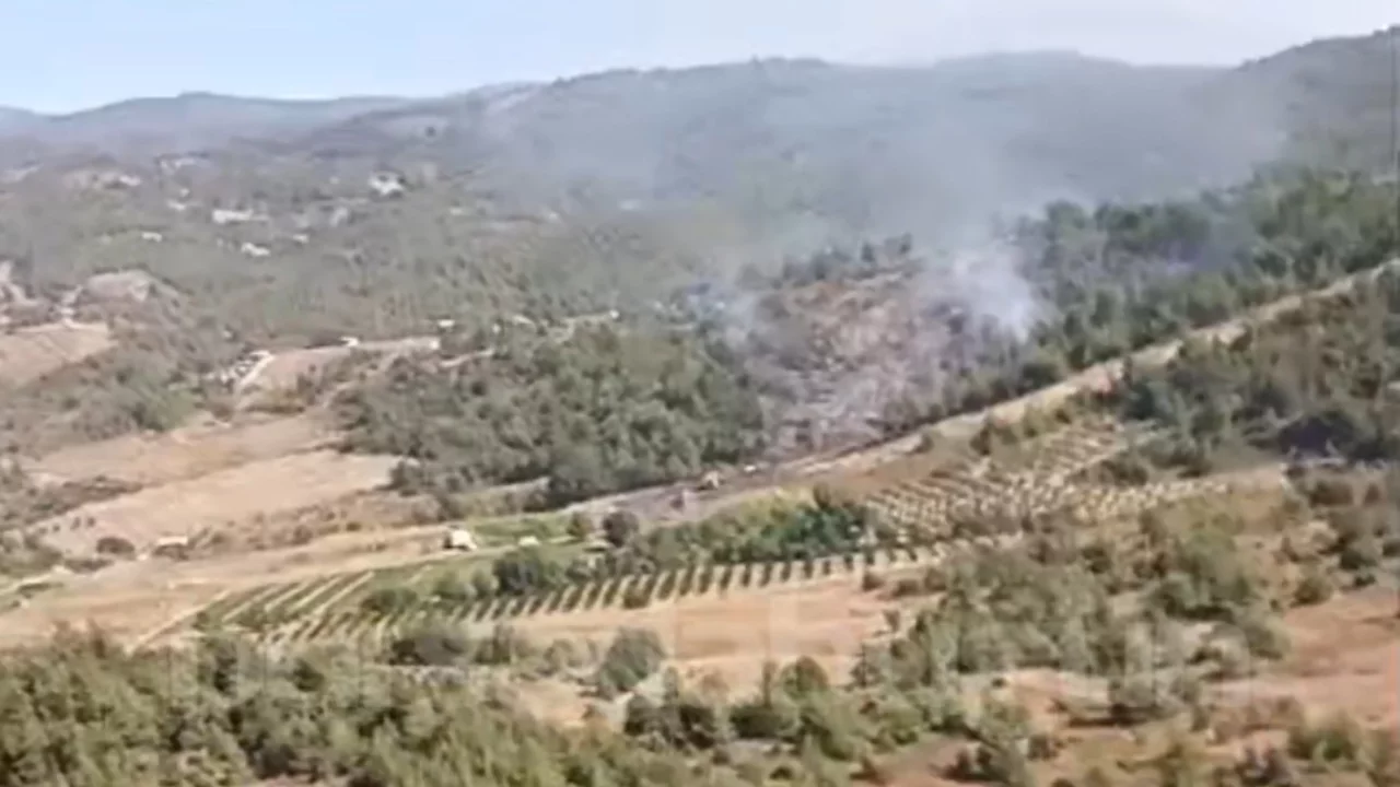 Bursa Kestel'deki yangının çıkış nedeni belli oldu!