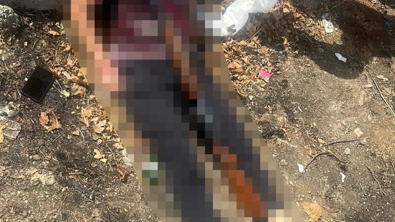 Diyarbakır'da parkta silah sesi paniği: Bir kişi &ouml;l&uuml; bulundu