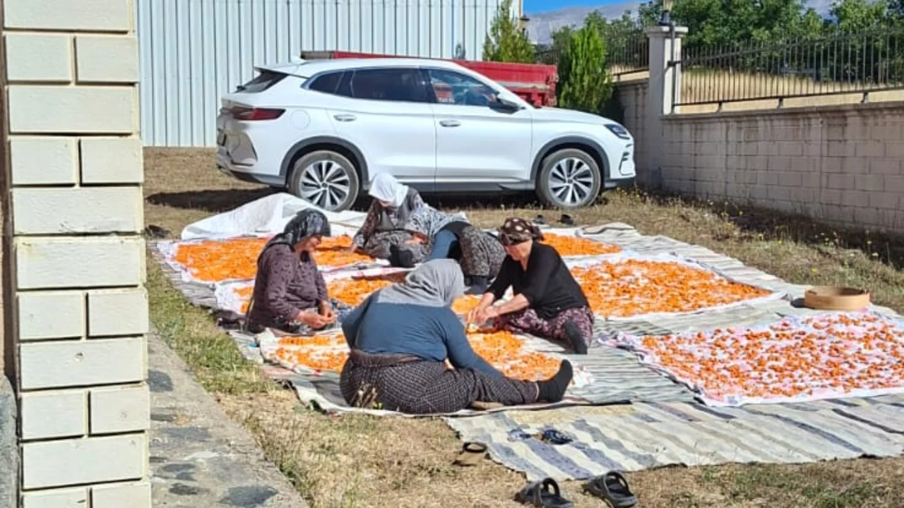 Bursa'da k&ouml;y evlerinde gizli telaş! G&uuml;nlerce uğraşıyorlar...