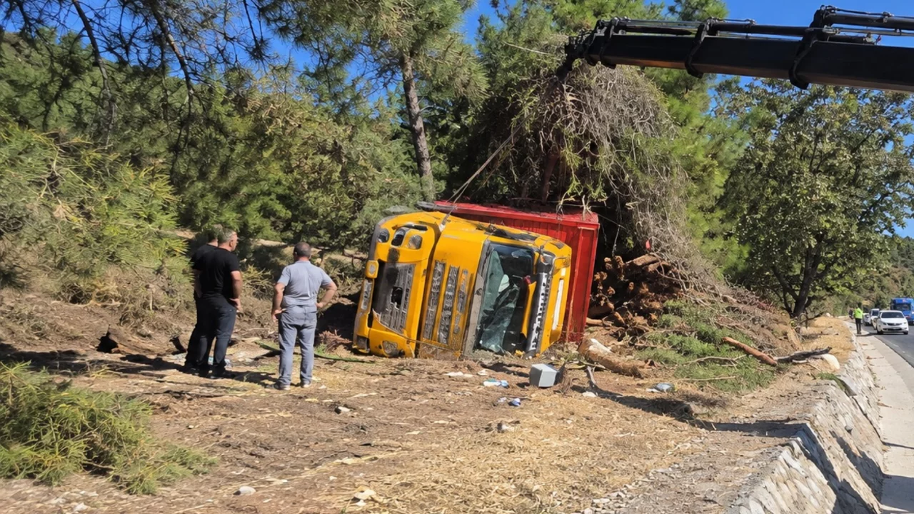 Bursa'da tomruk y&uuml;kl&uuml; kamyon devrildi! s&uuml;r&uuml;c&uuml; yaralandı