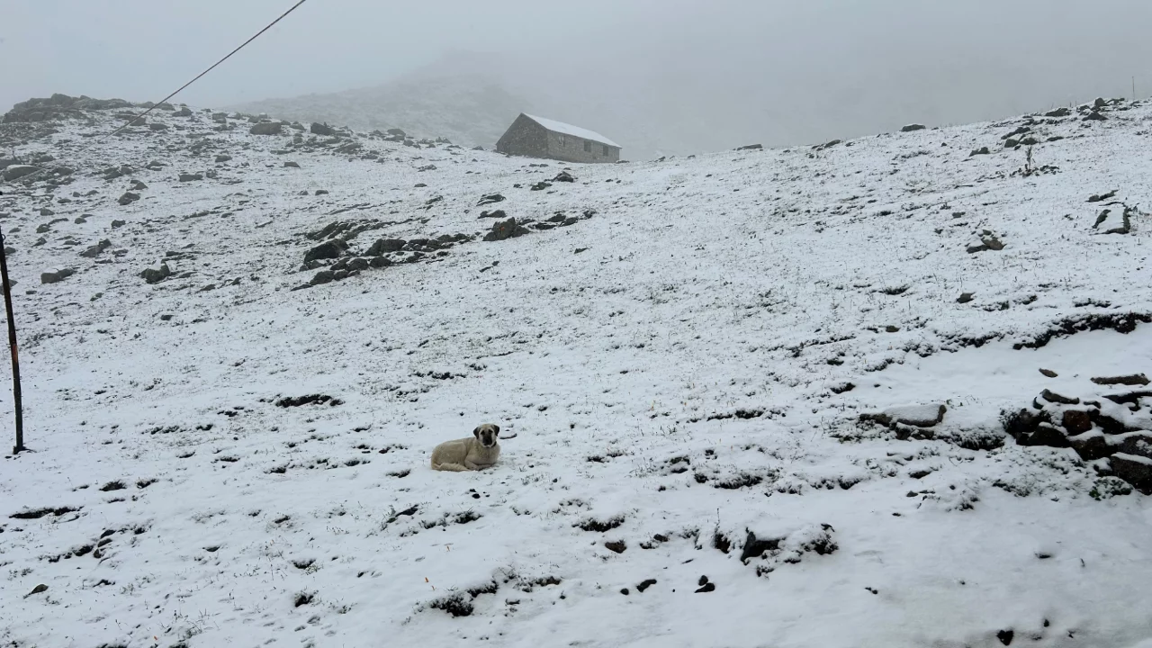 Sonbaharın ilk ayında kış s&uuml;rprizi! Aniden bastıran kar her yeri beyaza b&uuml;r&uuml;d&uuml;