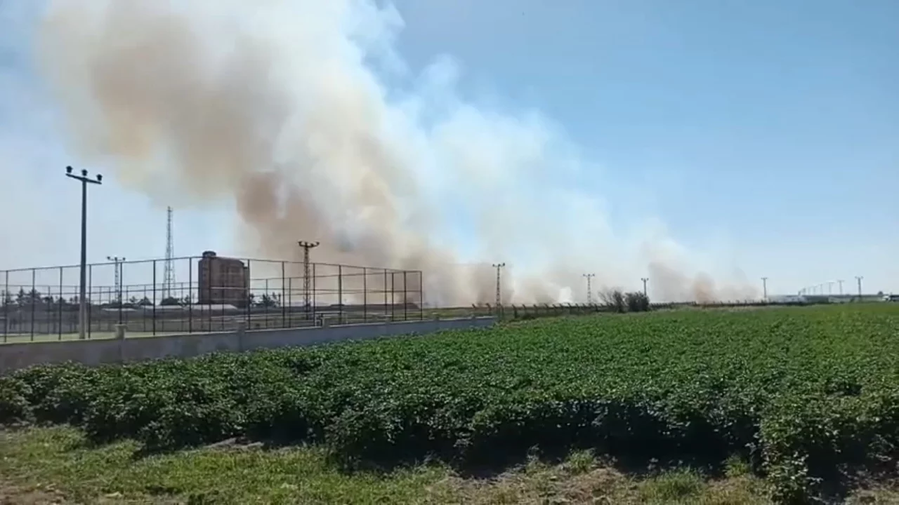 Şanlıurfa'da mayınlı bölgede korkutan yangın: Ekipler uzaktan müdahale etti