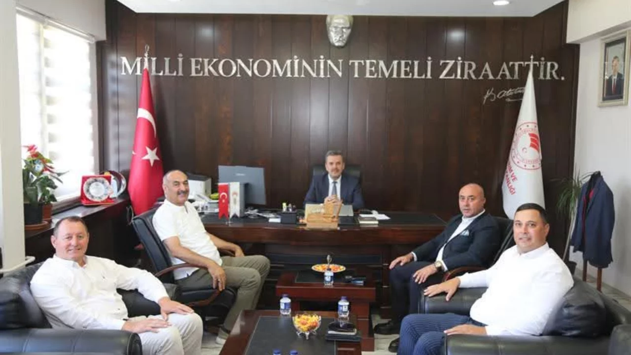 Bursa'da zeytin hasadı öncesi önemli toplantı!