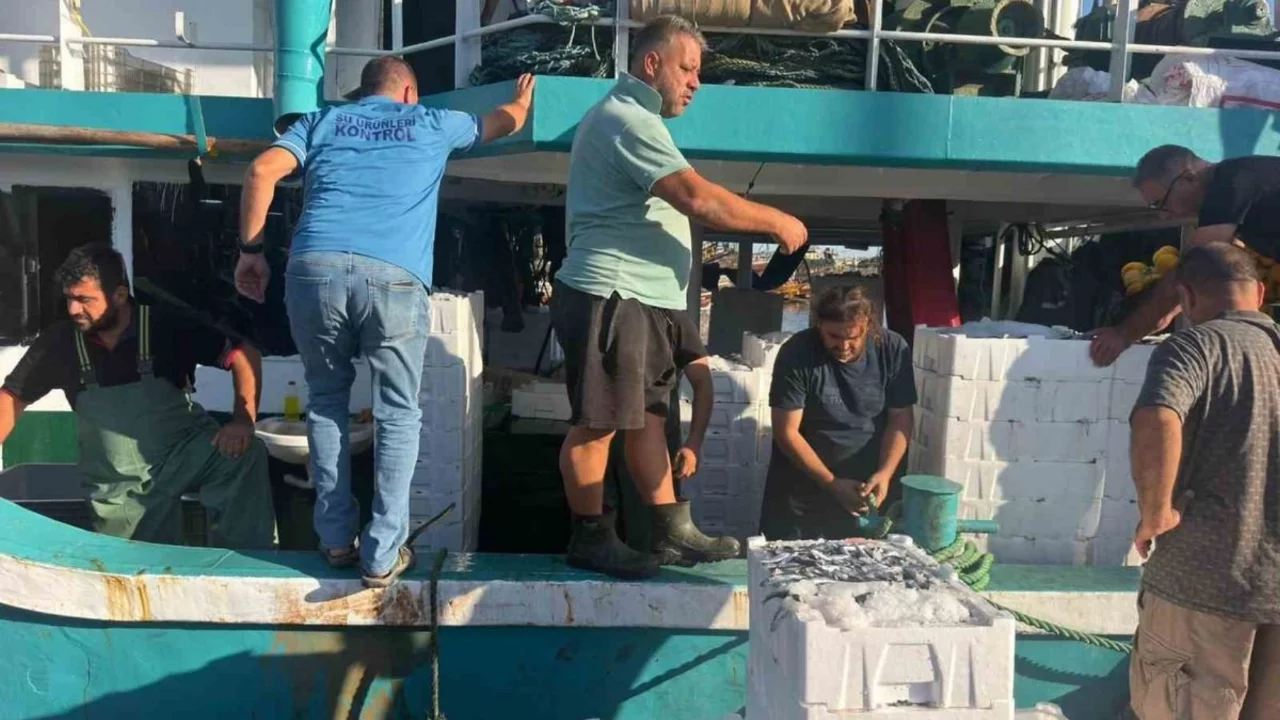 Hamsi avında kota d&ouml;nemi başladı, denetimler s&uuml;r&uuml;yor