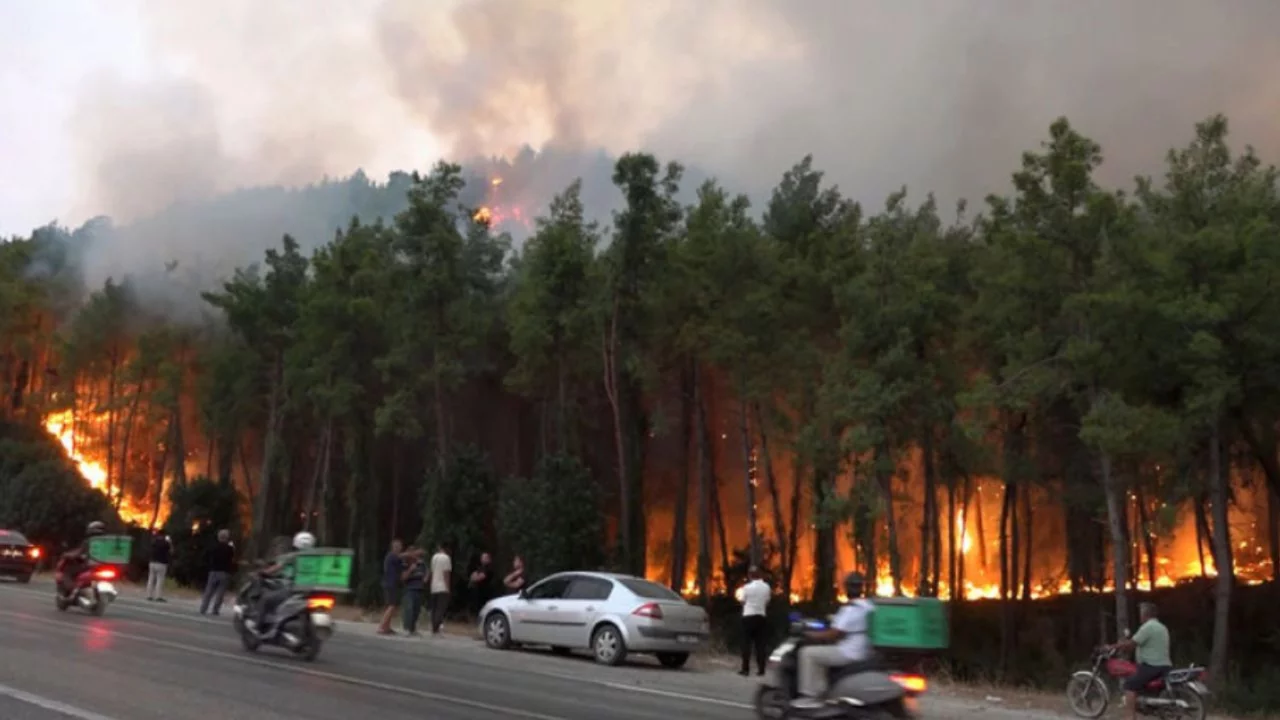 Adana'da &ccedil;ıkan 2 yangın kontrol altına alındı