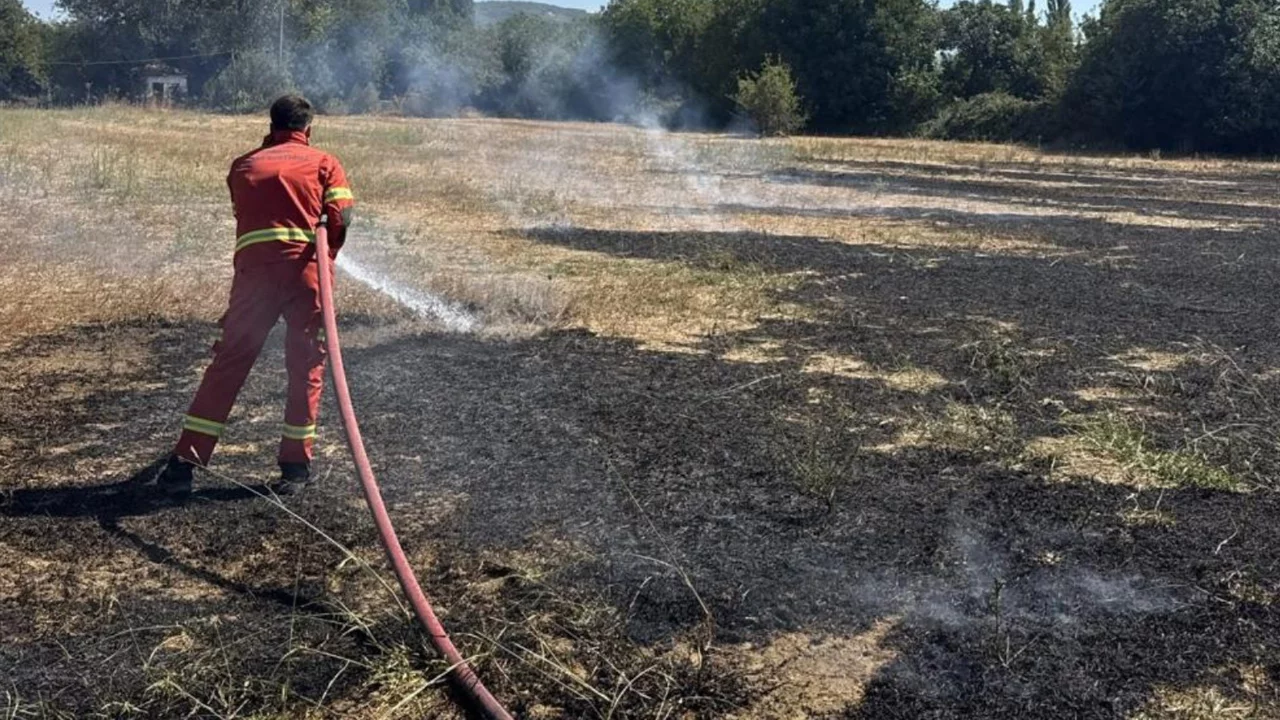 Muğla'da ot yangını kontrol altında: 500 metrekare alan zarar g&ouml;rd&uuml;