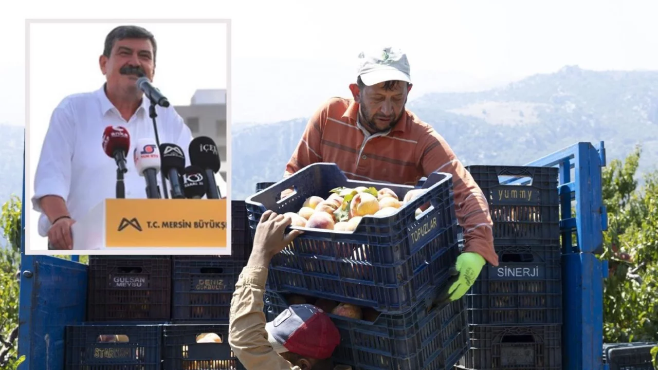 Şeftali fiyatı dip yaptı, belediye başkanı "Gerekirse dereye dökün" çıkışıyla tepki topladı