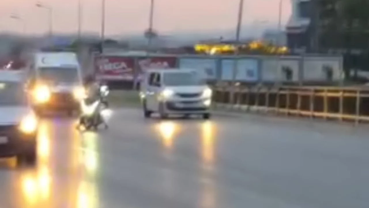 Bursa'da y&uuml;rekleri burkan an! Yavru kediye ara&ccedil; &ccedil;arptı, veteriner &ccedil;ift trafiği durdurup kurtardı