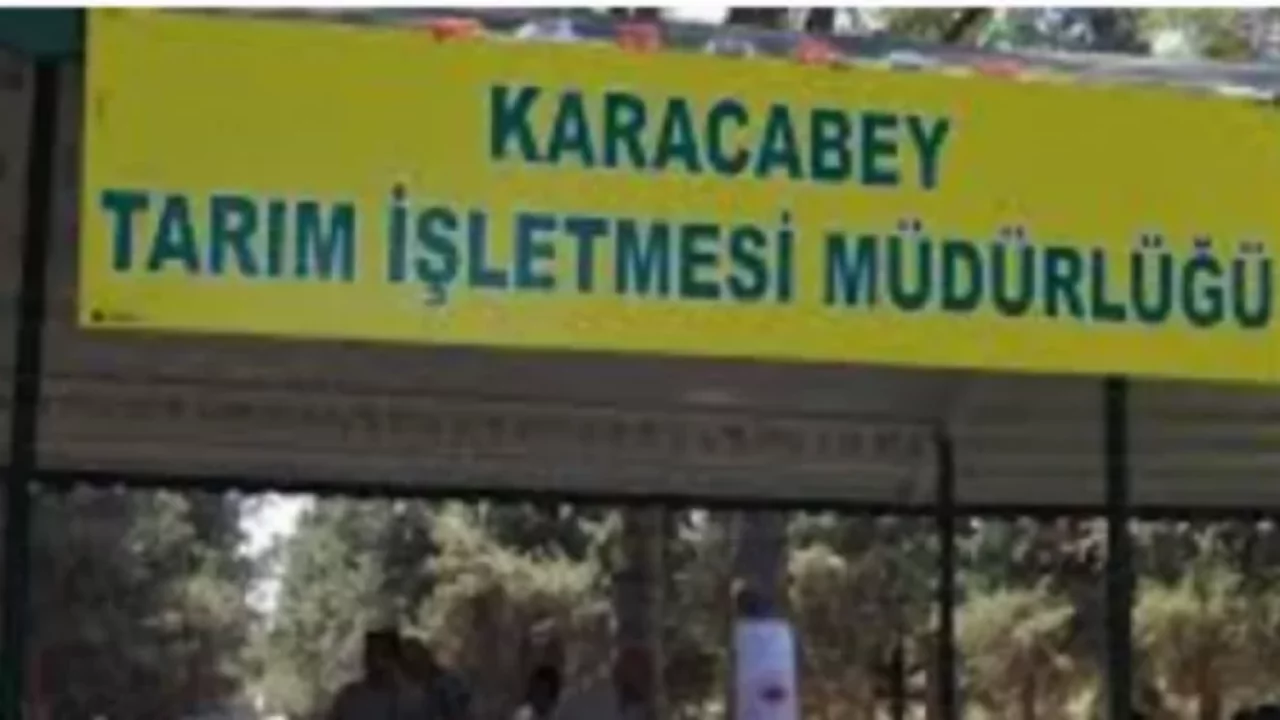Karacabey'de tarım işletmesine yenileme yatırımı! 4 ot sundurmasının çatısı değiştirilecek